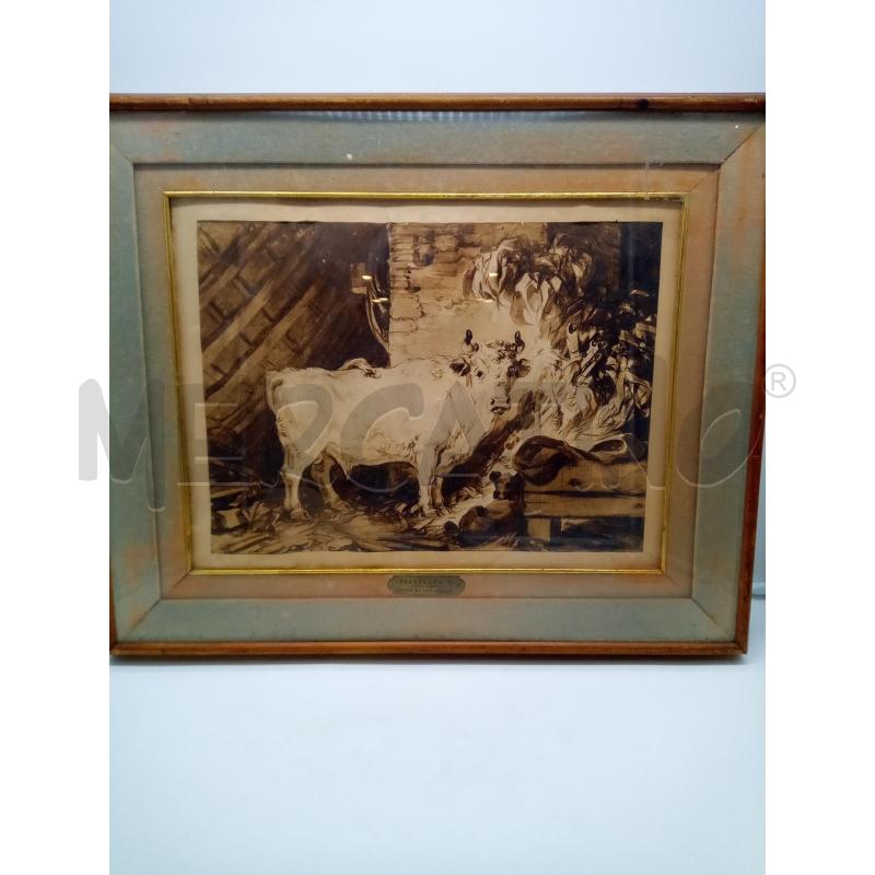 QUADRO ACQUERELLO SEPPIA TORO NELLA STALLA | Mercatino dell'Usato Roma porta maggiore 1