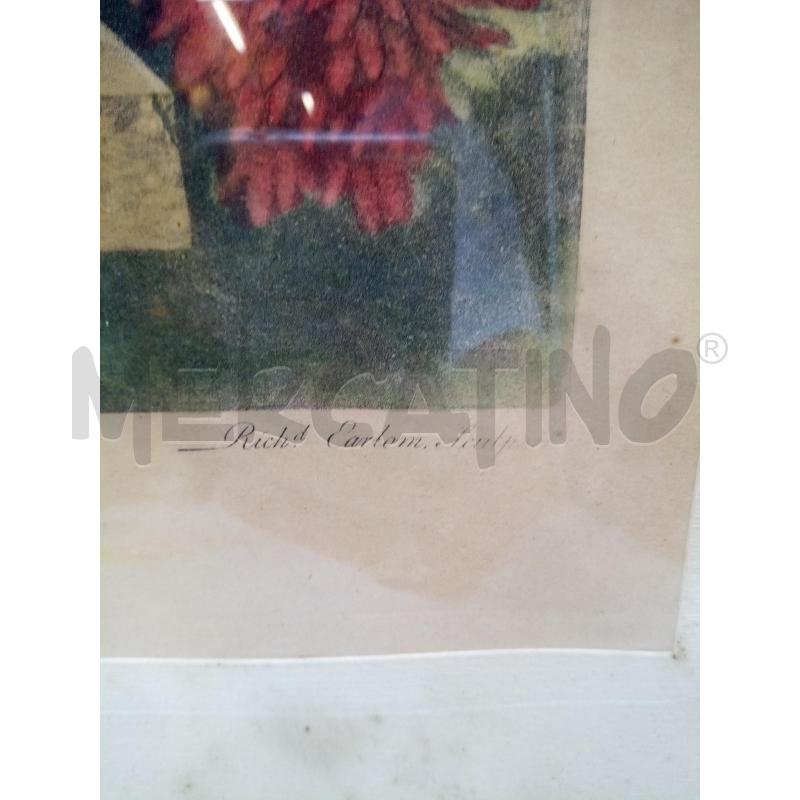QUADRO INCISONE VASO FIORITO | Mercatino dell'Usato Roma porta maggiore 5