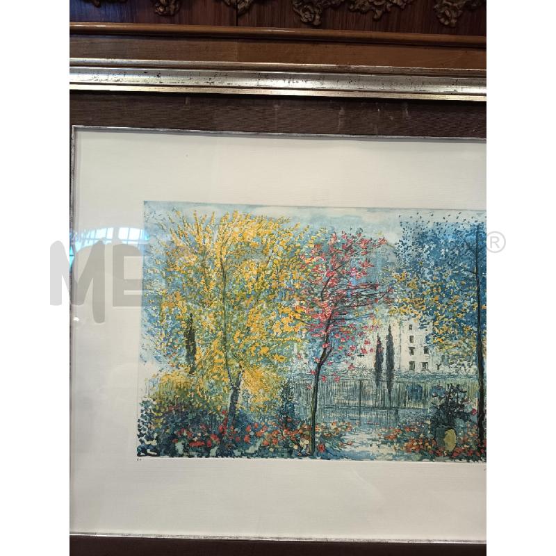 QUADRO LITOGRAFIA ALBERI FIORITI  | Mercatino dell'Usato Roma porta maggiore 3