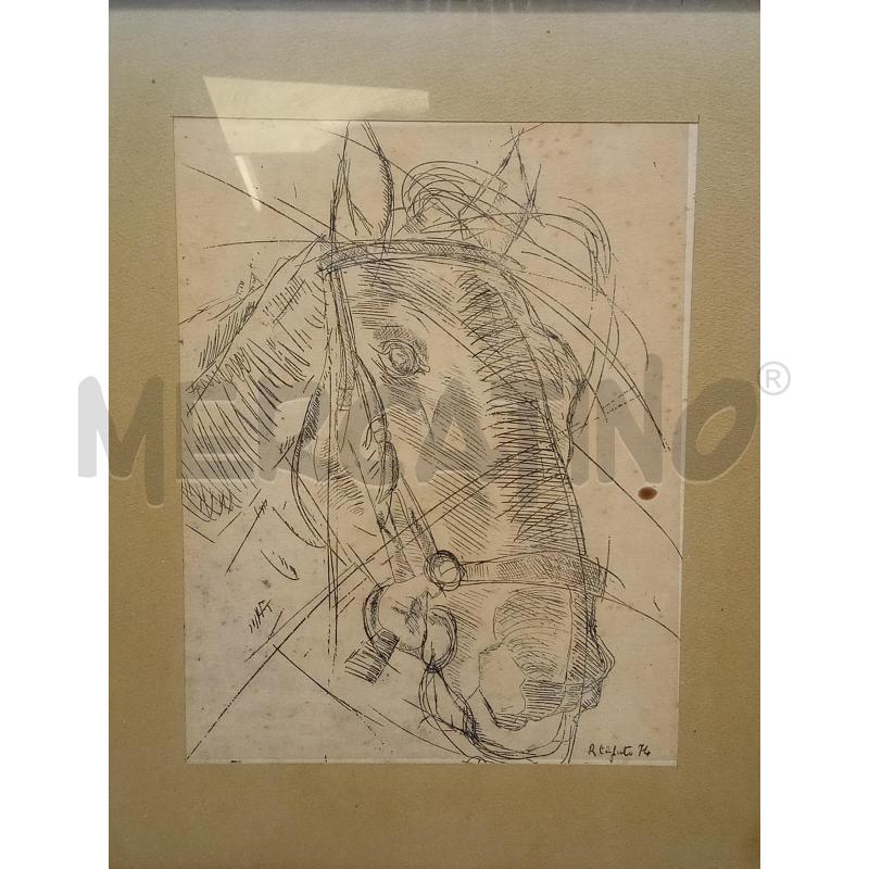 QUADRO LITO TESTA CAVALLO | Mercatino dell'Usato Roma porta maggiore 2
