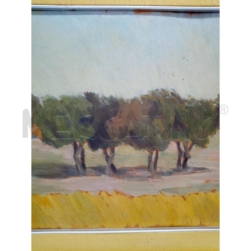 QUADRO OLIO SUTELA ALBERI | Mercatino dell'Usato Roma porta maggiore 5