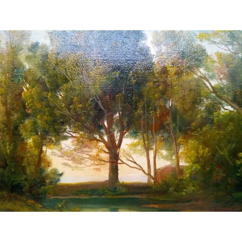 QUADRO OLIO SU TELA SCORCIO FLUVIALE  | Mercatino dell'Usato Roma porta maggiore 3