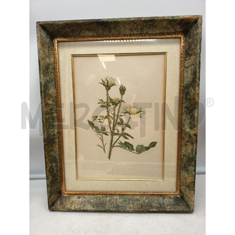 QUADRO STAMPA FLOREALE CORNICE MAREZZATA  | Mercatino dell'Usato Roma porta maggiore 1