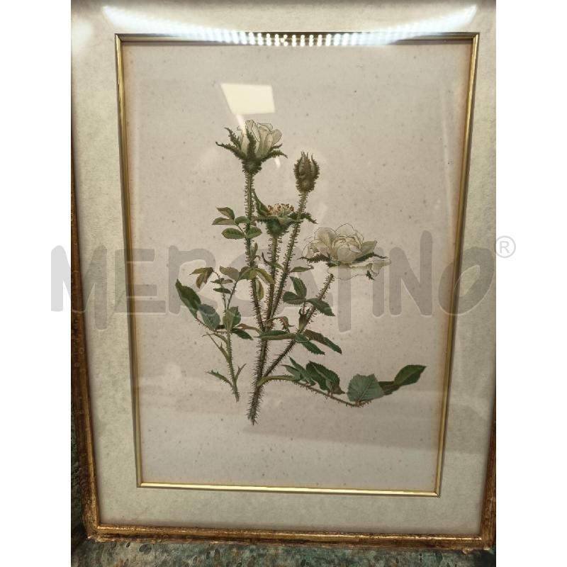 QUADRO STAMPA FLOREALE CORNICE MAREZZATA  | Mercatino dell'Usato Roma porta maggiore 3