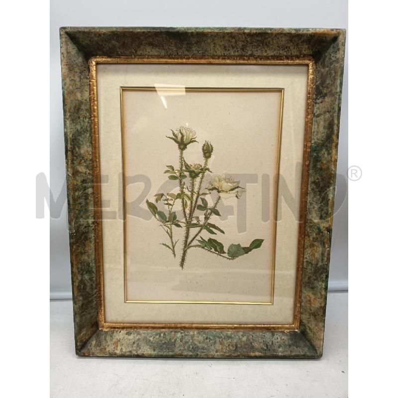 QUADRO STAMPA FLOREALE CORNICE MAREZZATA  | Mercatino dell'Usato Roma porta maggiore 4