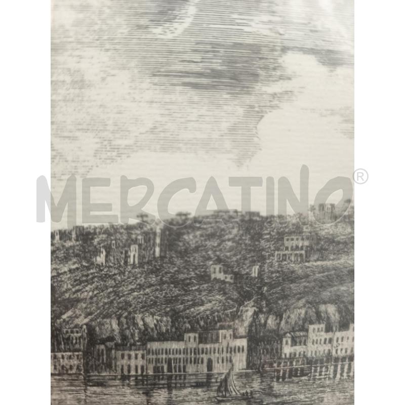 QUADRO STAMPA VEDUTA DI CHIAIA CORN RADICA  | Mercatino dell'Usato Roma porta maggiore 4
