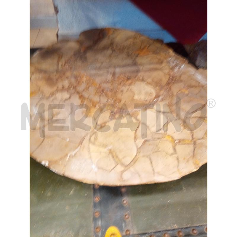 SEZIONE AMMONITE FOSSILE MADAGASCAR  | Mercatino dell'Usato Roma porta maggiore 1