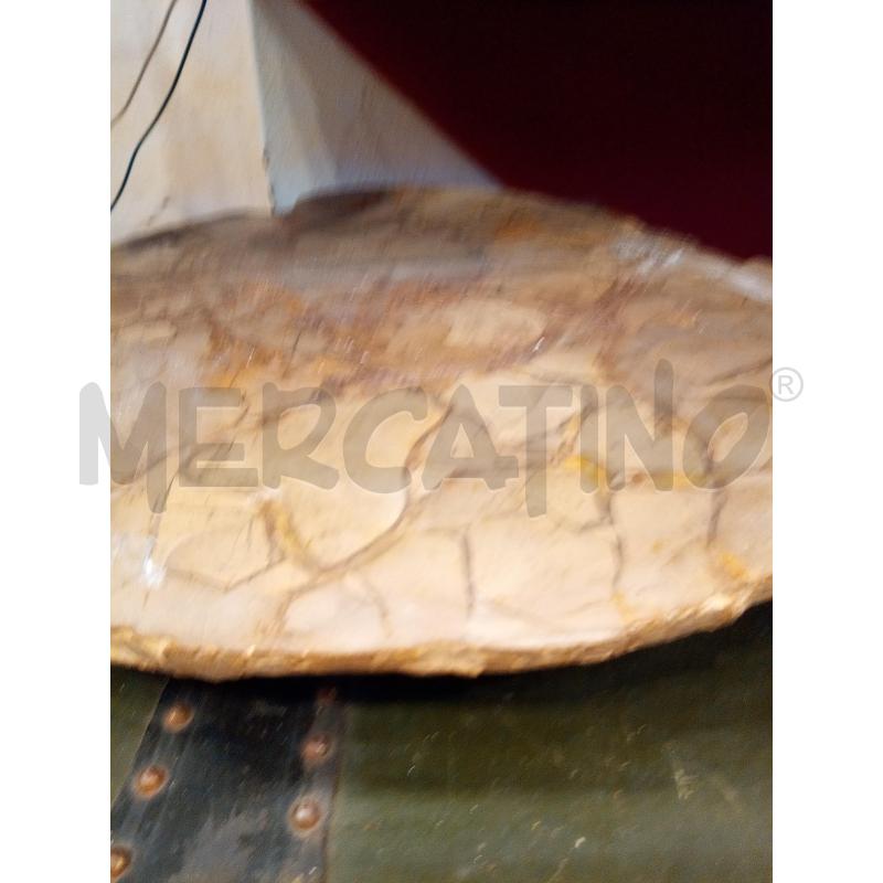 SEZIONE AMMONITE FOSSILE MADAGASCAR  | Mercatino dell'Usato Roma porta maggiore 3
