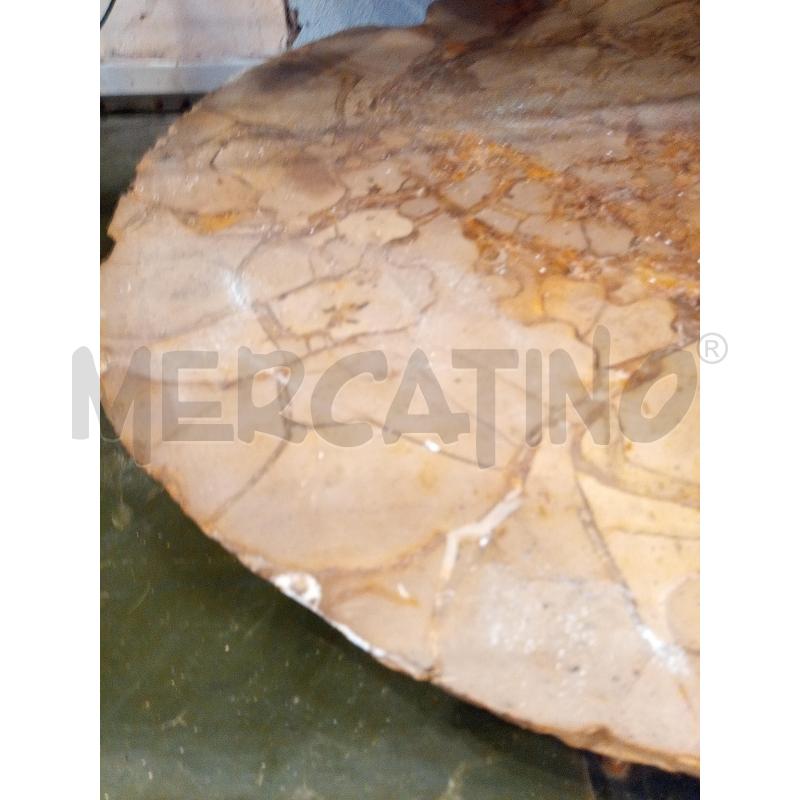SEZIONE AMMONITE FOSSILE MADAGASCAR  | Mercatino dell'Usato Roma porta maggiore 4