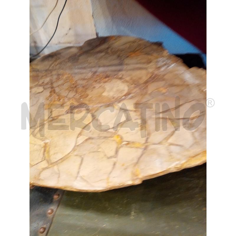 SEZIONE AMMONITE FOSSILE MADAGASCAR  | Mercatino dell'Usato Roma porta maggiore 5