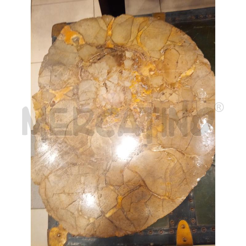 SEZIONE AMMONITE FOSSILE MADAGASCAR  | Mercatino dell'Usato Roma porta maggiore 1