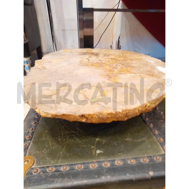 SEZIONE AMMONITE FOSSILE MADAGASCAR  | Mercatino dell'Usato Roma porta maggiore 3
