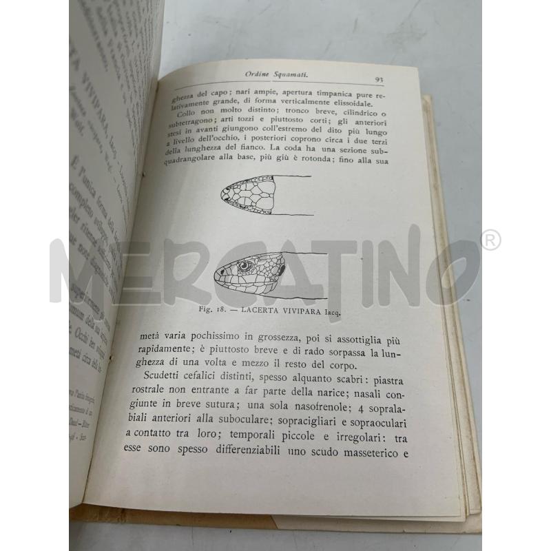 VANDONI - I RETTILI D'ITALIA HOEPLI 1914 | Mercatino dell'Usato Roma porta maggiore 3