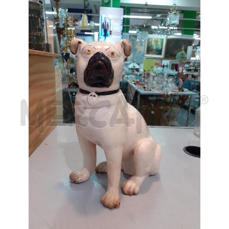 CANE STAFFORDSHIRE GRANDE | Mercatino dell'Usato Roma monteverde 1