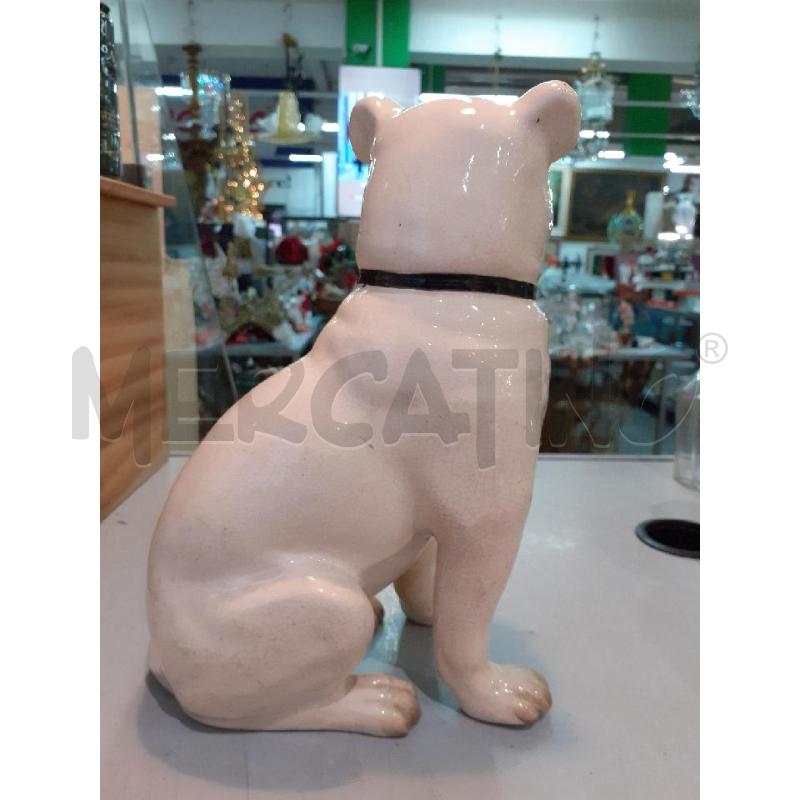 CANE STAFFORDSHIRE GRANDE | Mercatino dell'Usato Roma monteverde 2