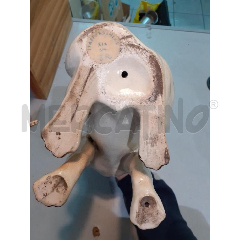 CANE STAFFORDSHIRE GRANDE | Mercatino dell'Usato Roma monteverde 3