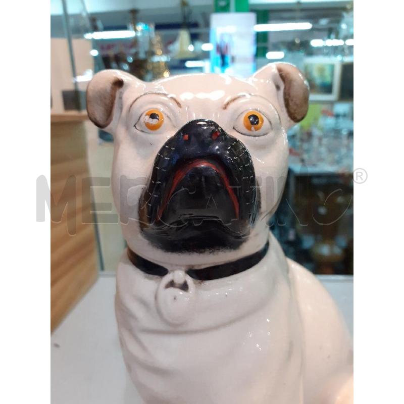 CANE STAFFORDSHIRE GRANDE | Mercatino dell'Usato Roma monteverde 4