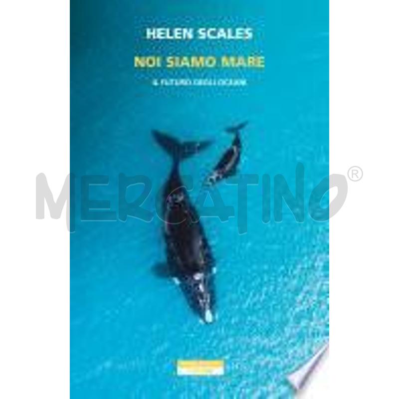 NOI SIAMO MARE | Mercatino dell'Usato Roma monteverde 1