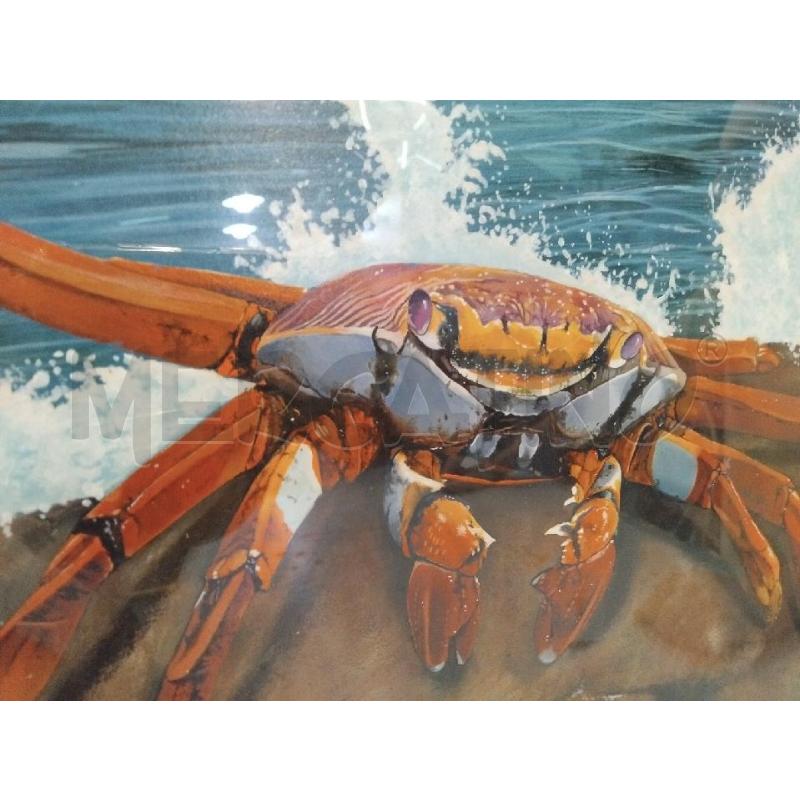 QUADRO GRANCHI SU SCOGLI | Mercatino dell'Usato Roma monteverde 2