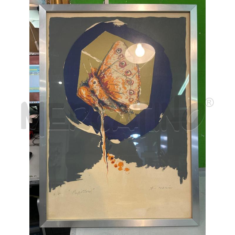 QUADRO MULTIPLO 14/60 PAPILLON | Mercatino dell'Usato Roma monteverde 1