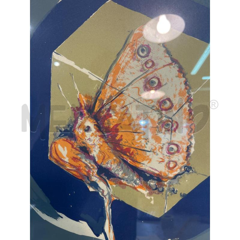 QUADRO MULTIPLO 14/60 PAPILLON | Mercatino dell'Usato Roma monteverde 4