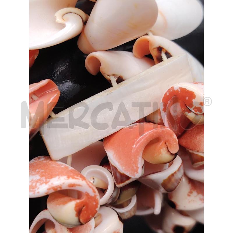 BRACCIALE CONCHIGLIE FERMO MADREP | Mercatino dell'Usato Roma eur 5