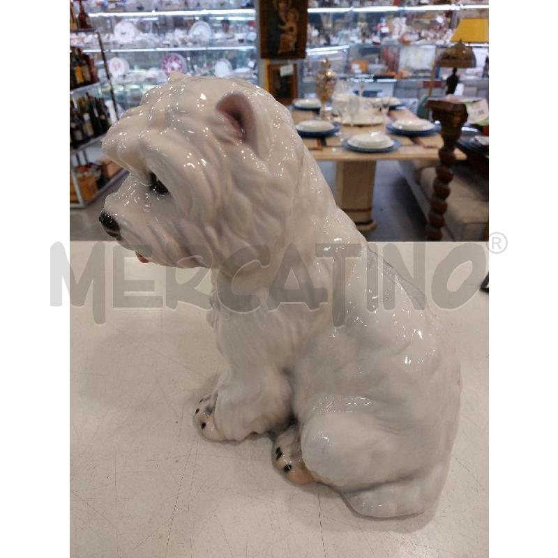 CANE CER ITALIANA BIANCO | Mercatino dell'Usato Roma eur 3