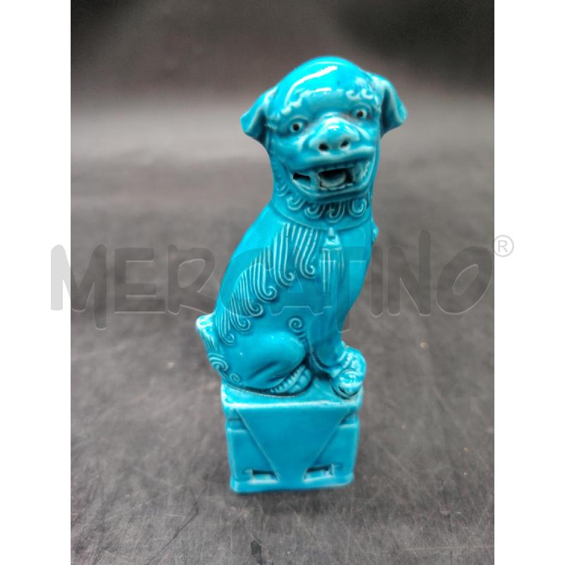 CANE FO AZZ | Mercatino dell'Usato Roma eur 1