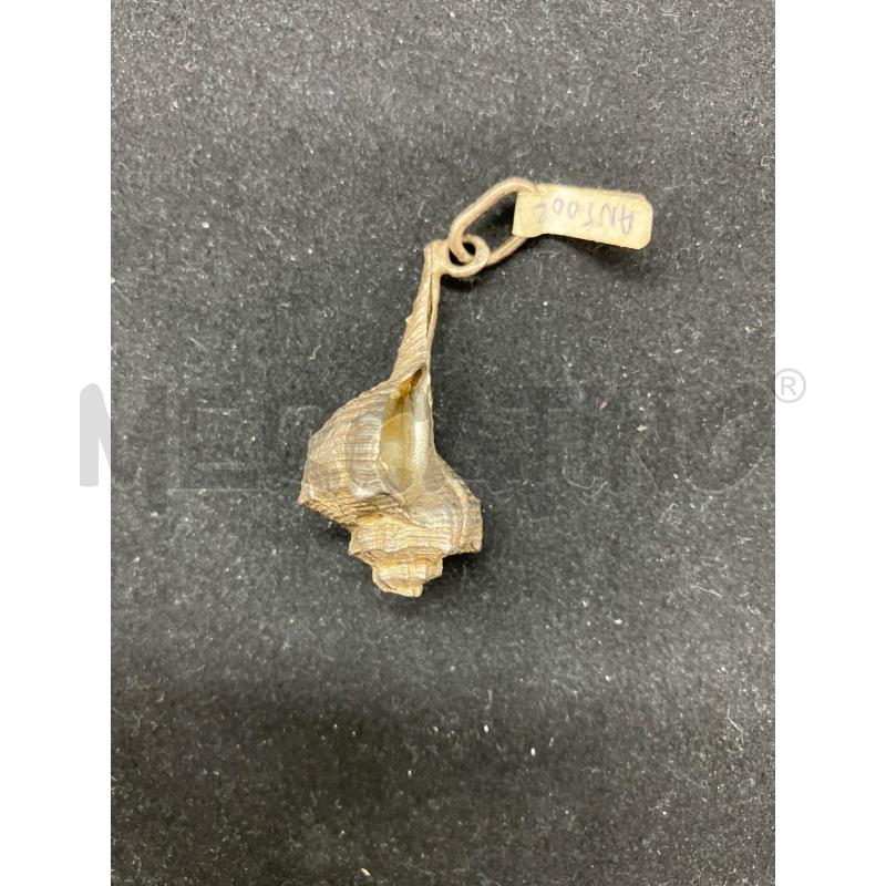 CIONDOLO 800 CONCHIGLIA | Mercatino dell'Usato Roma eur 1