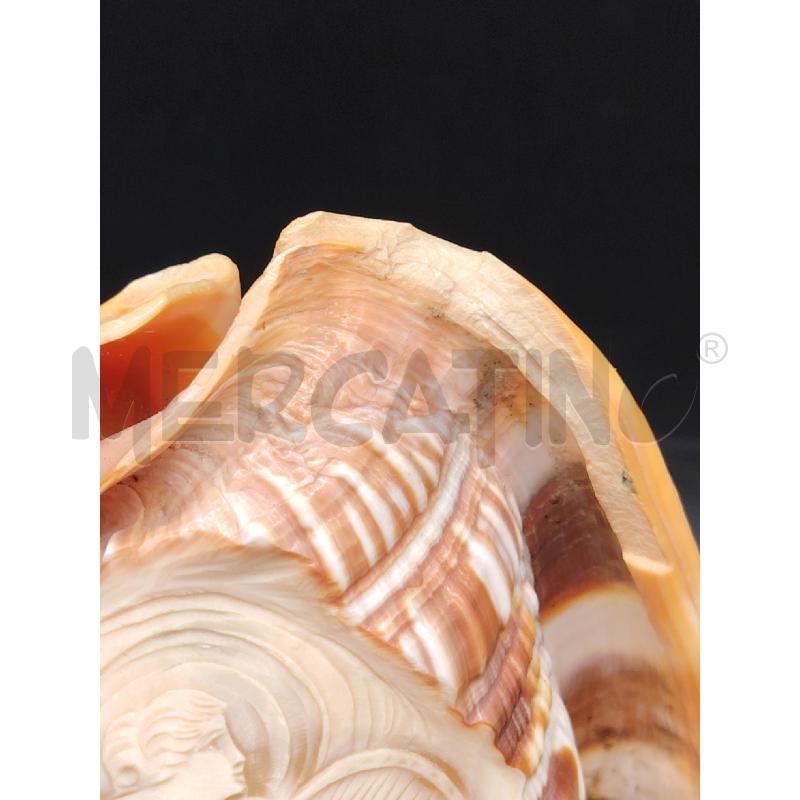 CONCHIGLIA DEC DAMA BASE ALABASTRO  | Mercatino dell'Usato Roma eur 2