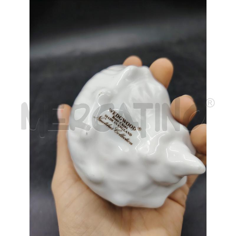 CONCHIGLIA WEDGWOOD BIANCA  | Mercatino dell'Usato Roma eur 3