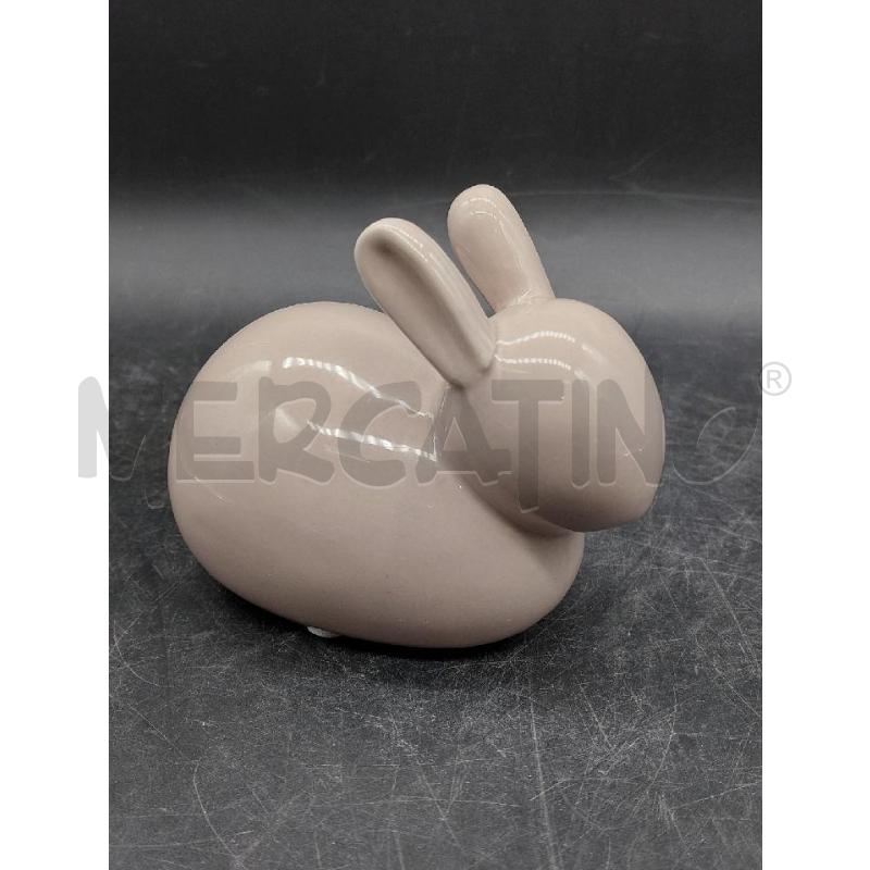 CONIGLIO CER FONTEBASSO | Mercatino dell'Usato Roma eur 1