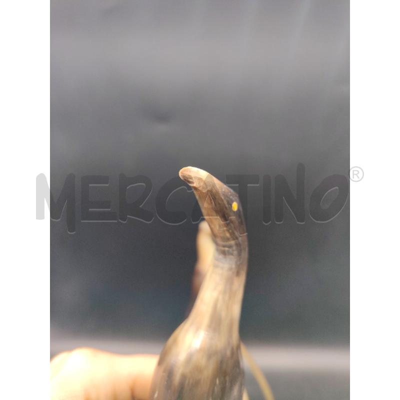 COPPIA UCCELLI DA RIV | Mercatino dell'Usato Roma eur 2