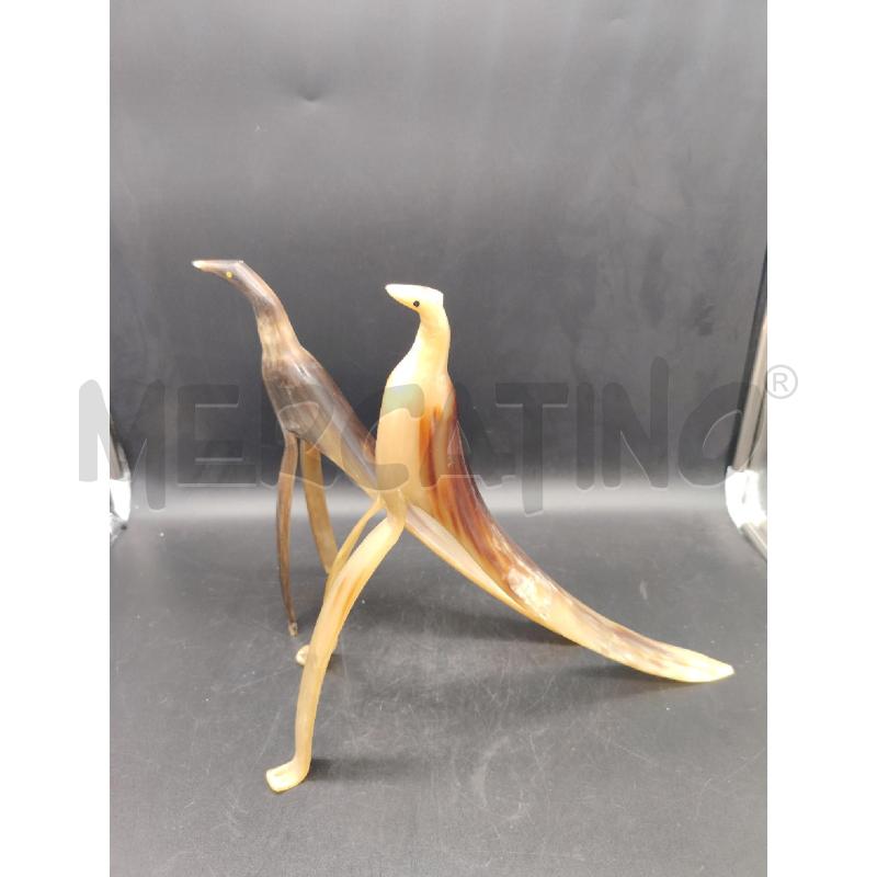 COPPIA UCCELLI DA RIV | Mercatino dell'Usato Roma eur 3