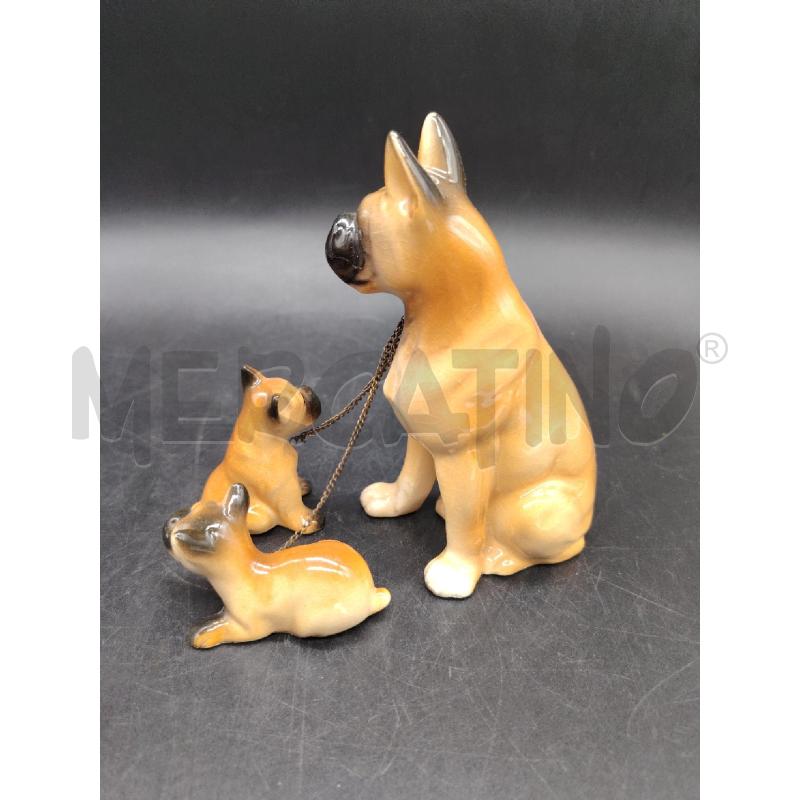 FAMIGLIA CANI CER  | Mercatino dell'Usato Roma eur 2