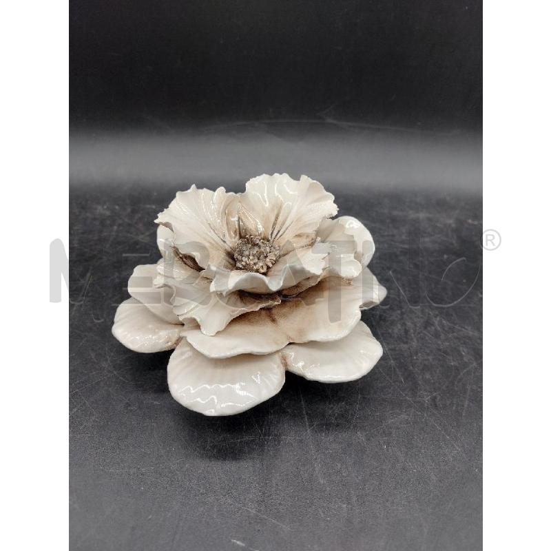 FIORE CDM BIA  | Mercatino dell'Usato Roma eur 1