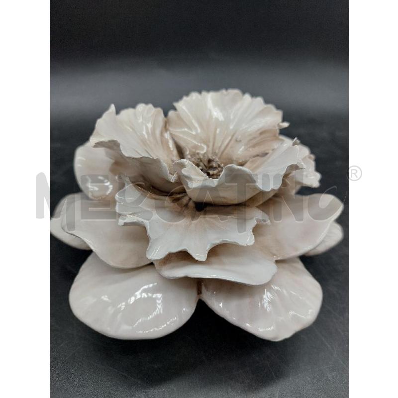 FIORE CDM BIA  | Mercatino dell'Usato Roma eur 4