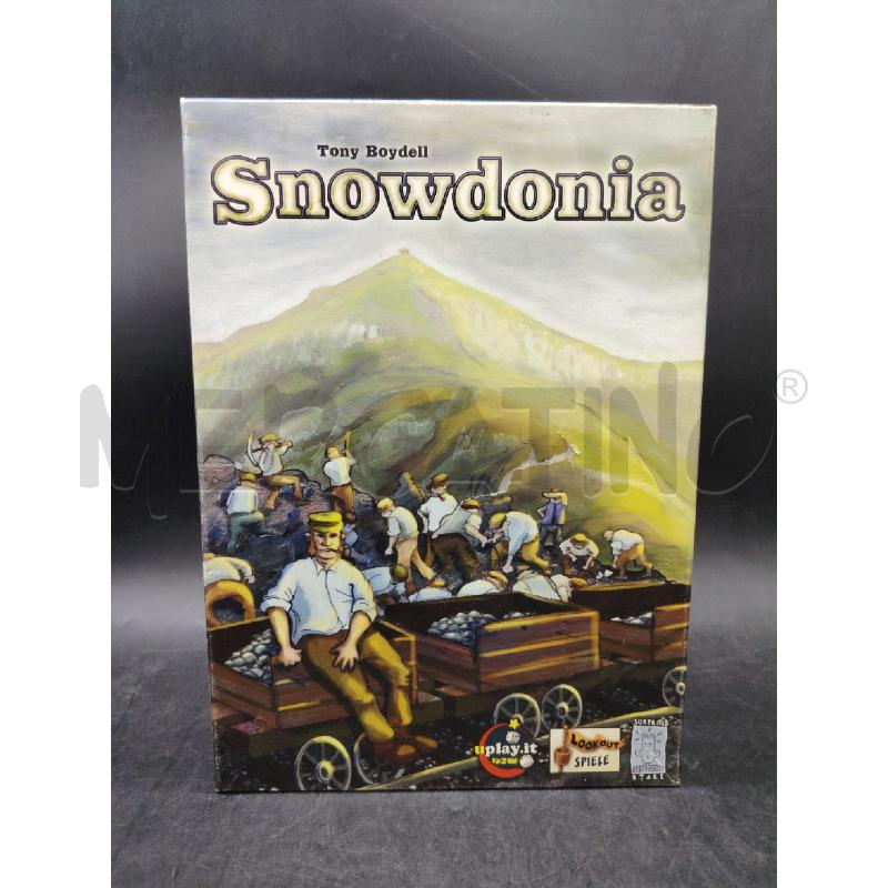 GIOCO SNOWDONIA | Mercatino dell'Usato Roma eur 1