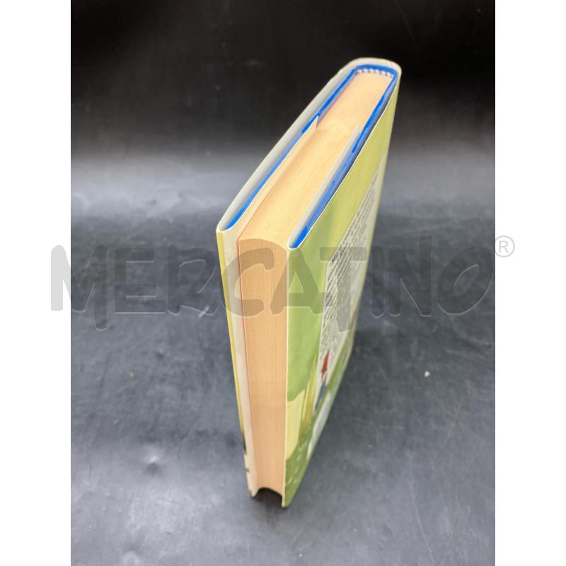 HARRY POTTER E LA PIETRA FILOSOFALE | Mercatino dell'Usato Roma eur 4