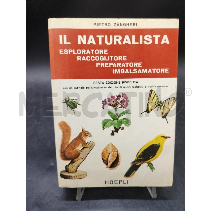 IL NATURALISTA HOEPLI | Mercatino dell'Usato Roma eur 1