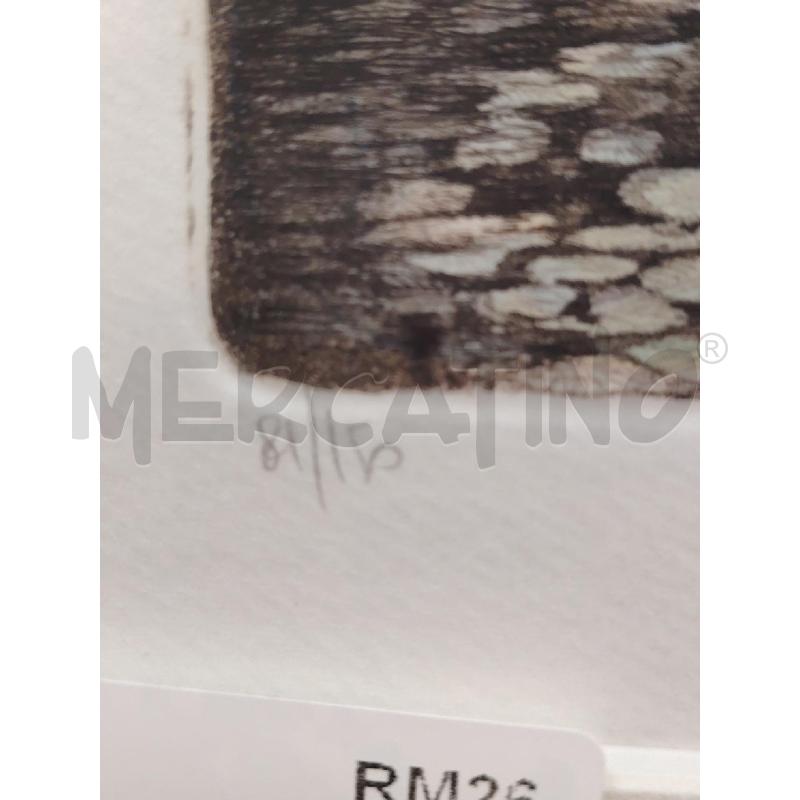 INCISIONE FIUME CON BOSCO C GIALLA E ROSA  | Mercatino dell'Usato Roma eur 3