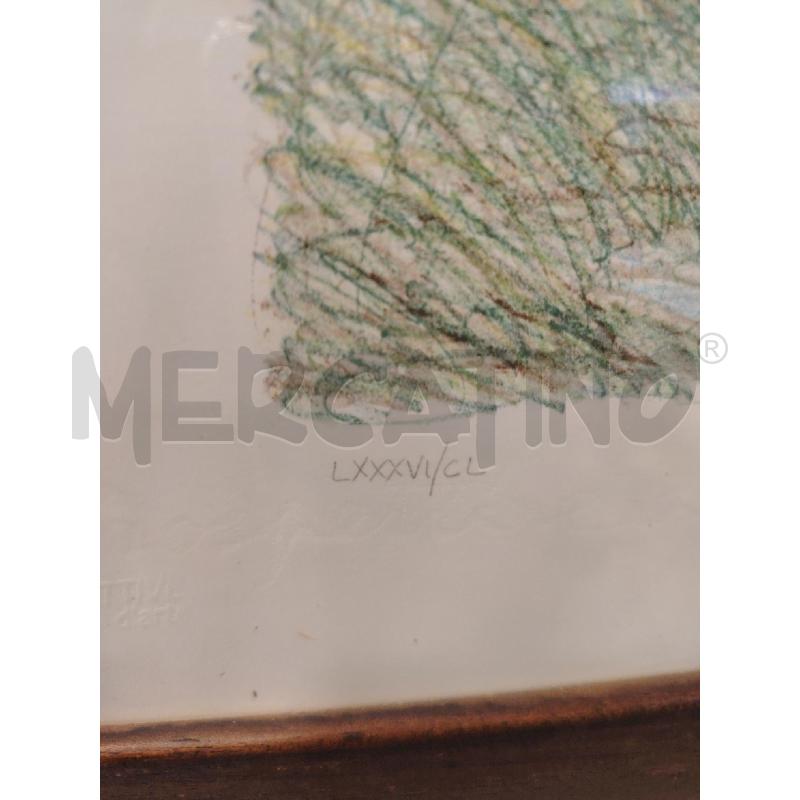 LITOGRAFIA A FIRMA AZZINARI ALOE | Mercatino dell'Usato Roma eur 3