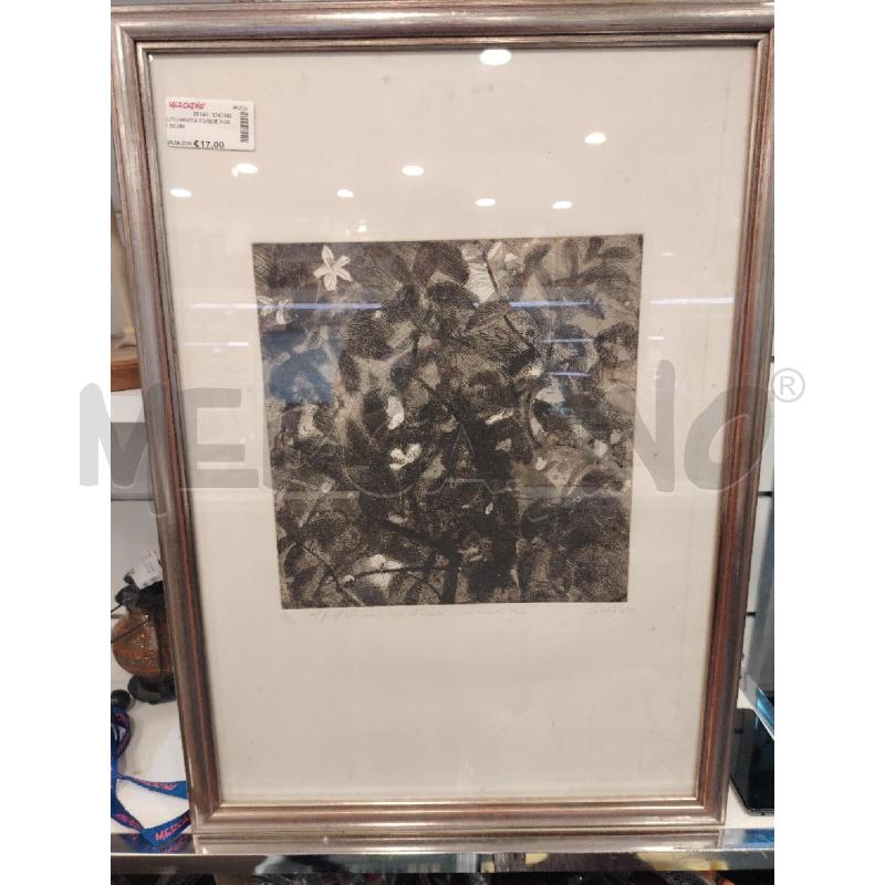 LITOGRAFIA FOGLIE TONI SCURI | Mercatino dell'Usato Roma eur 1