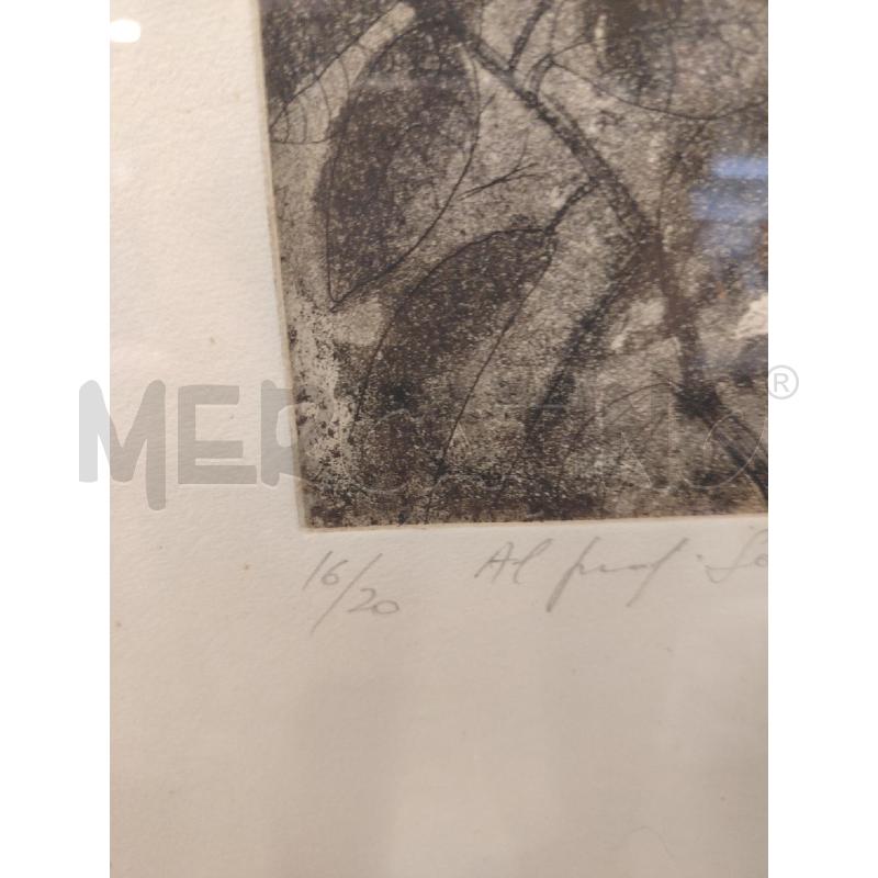 LITOGRAFIA FOGLIE TONI SCURI | Mercatino dell'Usato Roma eur 3