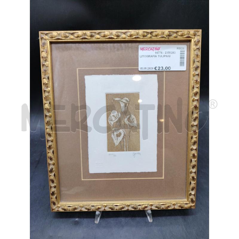 LITOGRAFIA TULIPANI  | Mercatino dell'Usato Roma eur 1