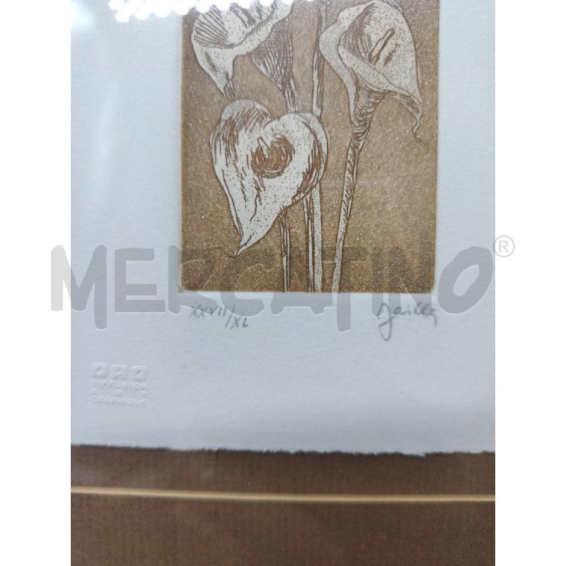 LITOGRAFIA TULIPANI  | Mercatino dell'Usato Roma eur 2