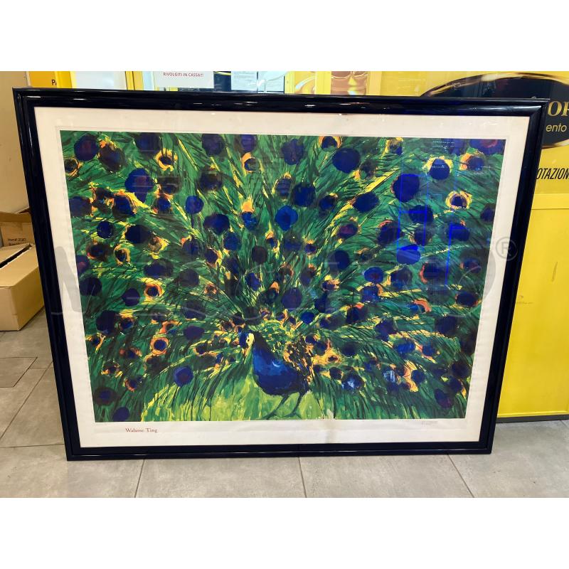 LITOGRAFIA WALLASE TING PEACOCK | Mercatino dell'Usato Roma eur 1