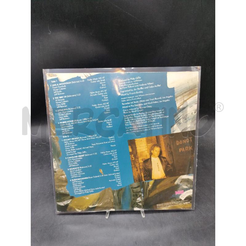 LP JEFF RICHMAN THE WAY IN | Mercatino dell'Usato Roma eur 2