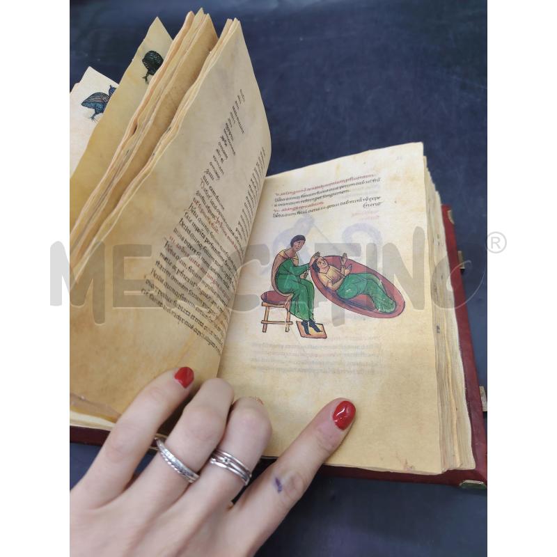 MEDICINA E FARMACIA DI FEDERICO II N 509/999 | Mercatino dell'Usato Roma eur 5