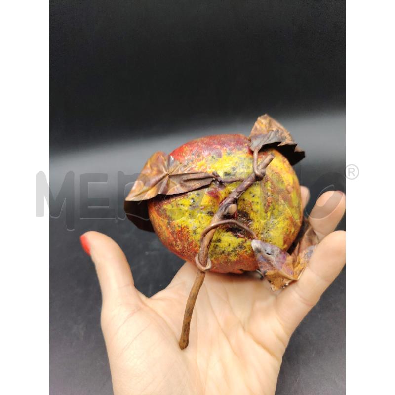 MELOGRANO TERRACOTTA  | Mercatino dell'Usato Roma eur 3